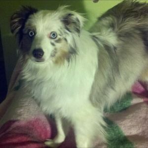 Meet your Posher, Kylee